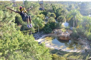 Zipline over Gators